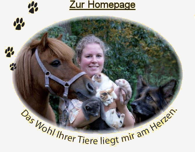 Klicken Sie hier, um weiter zur Homepage zu gelangen